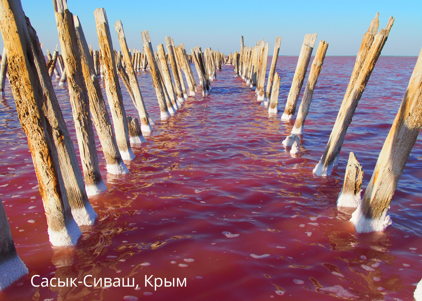 озеро Сиваш, Крым, путешествие по России,