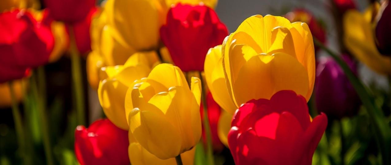 Туры и экскурсии на 8 Марта